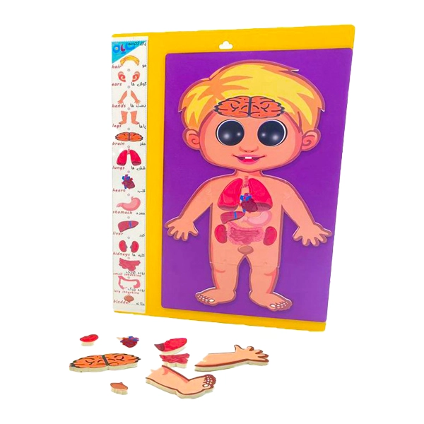 پازل آناتومی بدن (60)